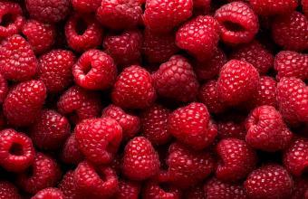 Framboos – fruitbereiding 46% fruit – 5 kg