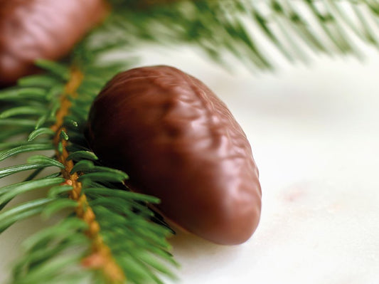 Plantaardige-chocolade-van-niche-tot-voedselrevolutie Anisana BV