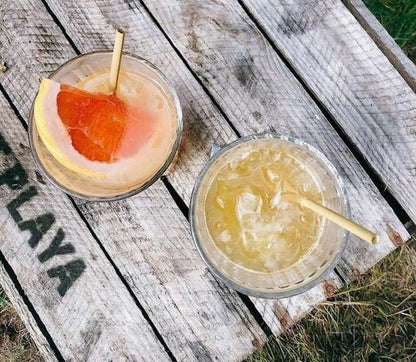 Biofase rietjes Cocktailrietjes van 15 cm (48 stuks) Cocktailrietjes van 14 cm (2000 stuks)/Bestel eenvoudig online/Anisana