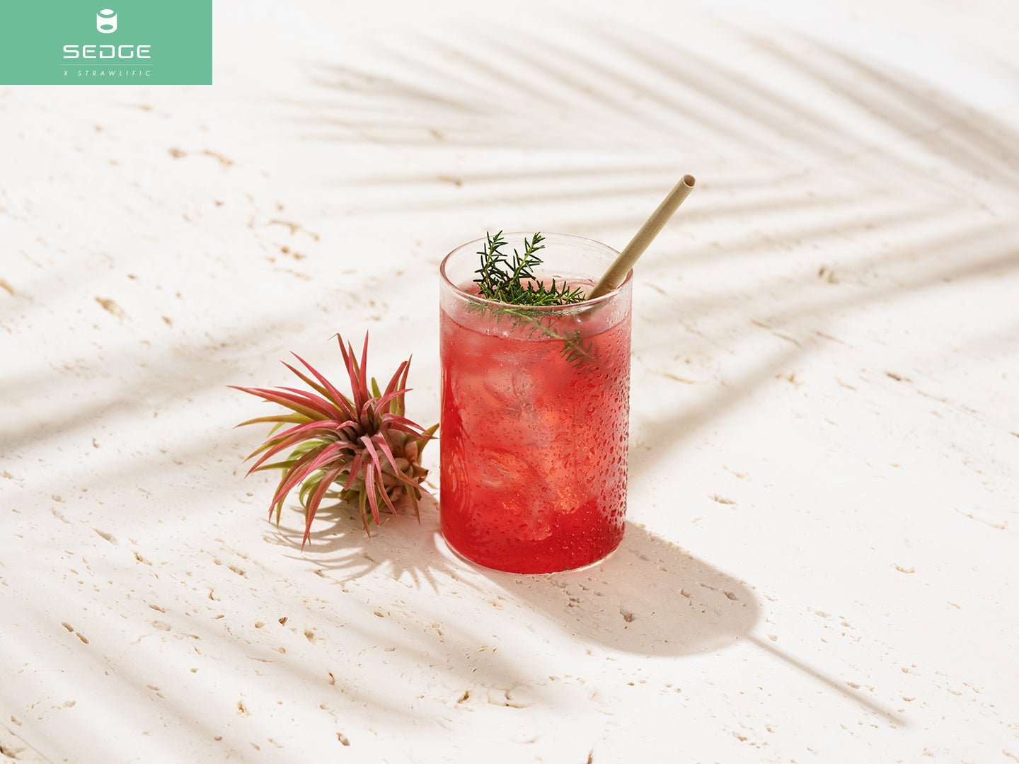 Biofase rietjes Cocktailrietjes van 15 cm (48 stuks) Cocktailrietjes van 14 cm (2000 stuks)/Bestel eenvoudig online/Anisana