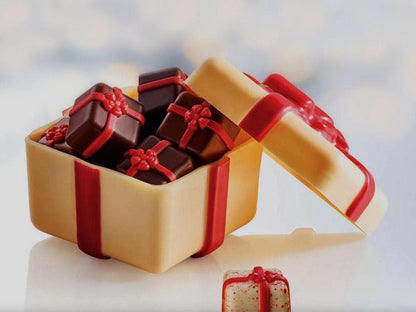 Martellato Chocoladevormen Chocoladevorm Chocolate Gift 20pr01 20PR01 chocoladevorm Chocolate Gift/Bestel eenvoudig online/Anisana