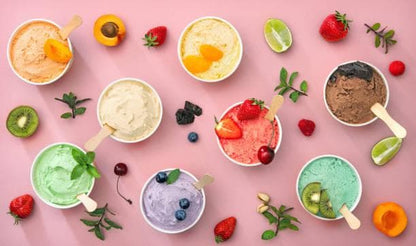 Unigel/Nordpol Basis voor suikerarm ijs 1.1 kg Frutta Stevia – Suikervrije basis voor vruchtenijs en sorbet Frutta Stevia/Bestel eenvoudig online/Anisana